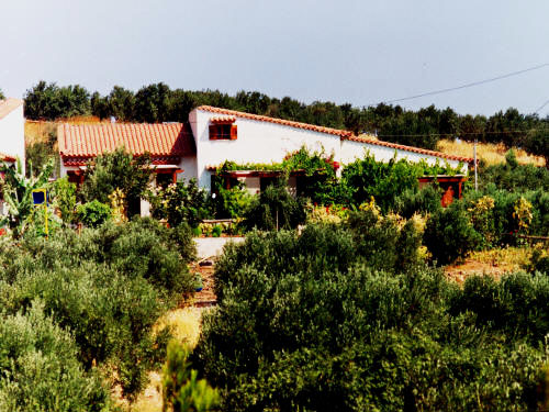 sunrise apartments palekastro kouremenos